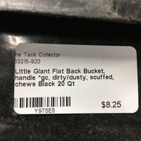 Flat Back Bucket, handle *gc, dirty/dusty, scuffed, chews
