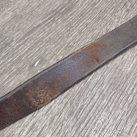 67" Soft Leather Lead Shank, 36" Brass Chain *gc, rubs, scrapes, creases, faded
