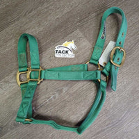 Thick Nylon Halter *gc, mnr hair, faded, dirt?stains, edge rubs & frays, older
