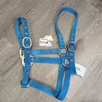 Stiff Nylon Halter, adjustable Nose *gc, clean, stains, dirt, oxidized, older, rust, frayed holes
