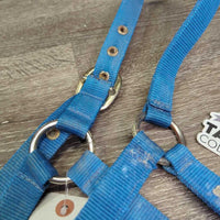 Stiff Nylon Halter, adjustable Nose *gc, clean, stains, dirt, oxidized, older, rust, frayed holes
