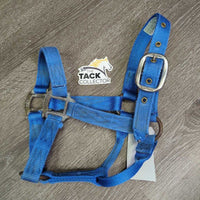 v.Thick Stiff Nylon Halter *gc, older, clean, stains, rubs, oxidized, frayed end
