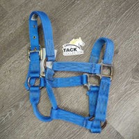 v.Thick Stiff Nylon Halter *gc, older, clean, stains, rubs, oxidized, frayed end
