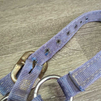 v.Thick Stiff Nylon Halter *gc/fair, rust, residue, v.faded, older, stains, dirt, frayed holes
