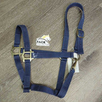 Stiff Nylon Halter, snap *gc, clean, faded, rubs, hairy, edges: frays & dent
