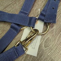 Stiff Nylon Halter, snap *gc, clean, faded, rubs, hairy, edges: frays & dent
