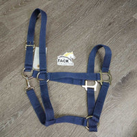 Stiff Nylon Halter, snap *gc, clean, faded, rubs, hairy, edges: frays & dent

