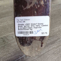 v.Stiff Water? Dandy Brush *gc/fair, dirty, hairy, v.peeled & scraped edges, engraved
