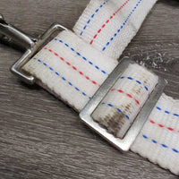 Thick Nylon Web Open Stall Guard *vgc, hair, dirt, stains, rust, older, rubs, loose rubs/frays
