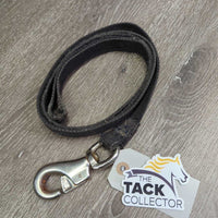 Nylon Web Lead Rope, Loop Handle, Hvy Bull Snap *fair, hairy, faded, frayed edges, rusty
