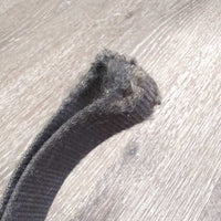 Nylon Web Lead Rope, Loop Handle, Hvy Bull Snap *fair, hairy, faded, frayed edges, rusty
