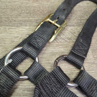 Thick Soft Nylon Halter *gc/vgc, dirt, rubs, frays & hair
