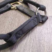 Thick Soft Nylon Halter *gc/vgc, dirt, rubs, frays & hair
