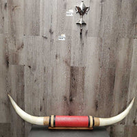 Wall Mount Long Horns *vgc, clean & dusty edges, mnr rusty, older?
