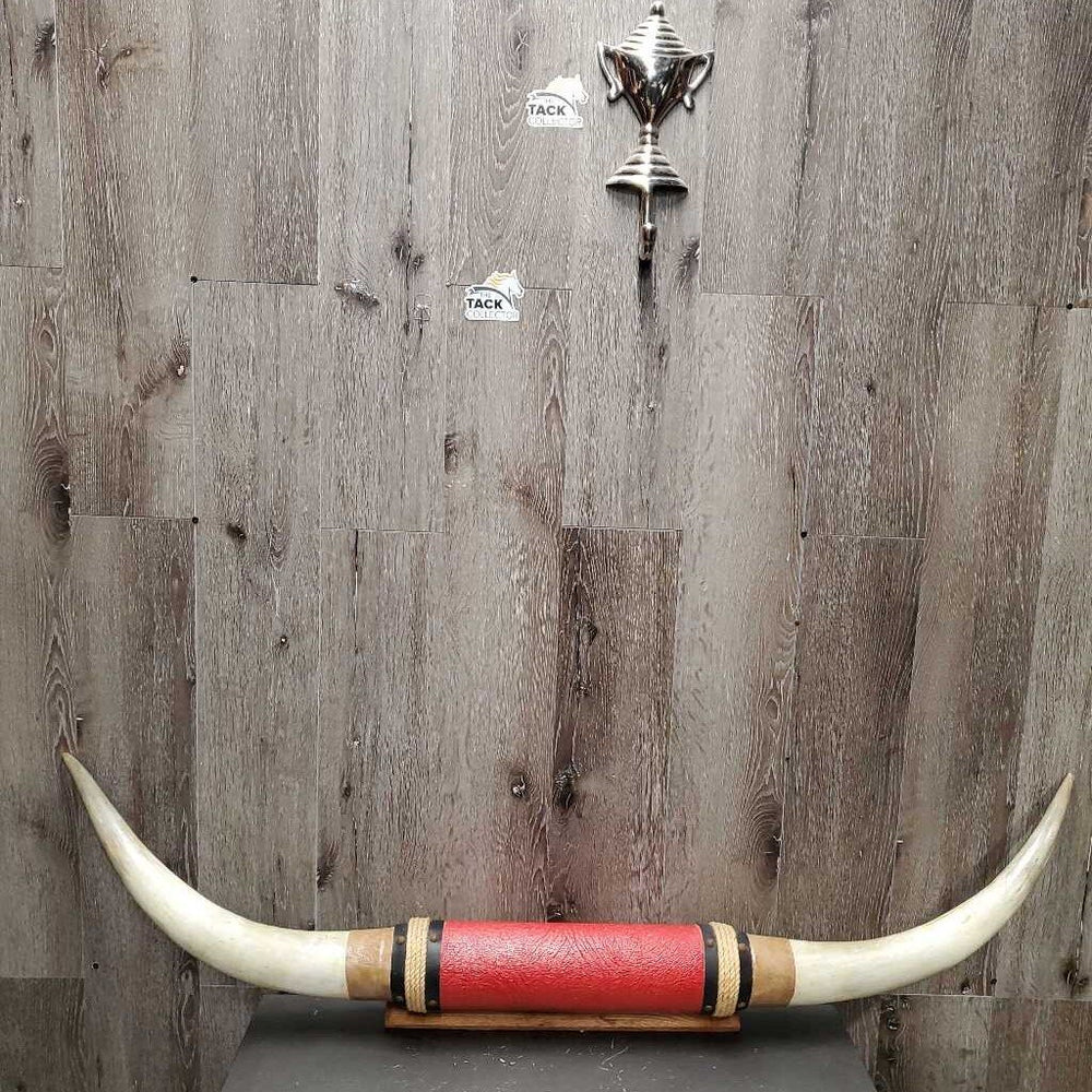 Wall Mount Long Horns *vgc, clean & dusty edges, mnr rusty, older?