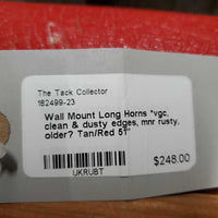 Wall Mount Long Horns *vgc, clean & dusty edges, mnr rusty, older?