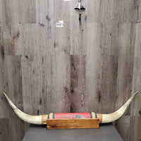 Wall Mount Long Horns *vgc, clean & dusty edges, mnr rusty, older?

