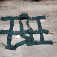 Nylon Web Stall Guard *like new
