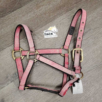 Stiff Nylon Halter *fair, faded, tears, clean
