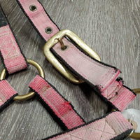 Stiff Nylon Halter *fair, faded, tears, clean

