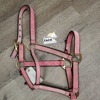 Stiff Nylon Halter *fair, faded, tears, clean
