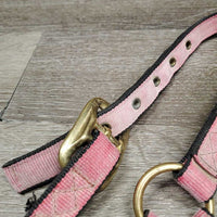 Stiff Nylon Halter *fair, faded, tears, clean
