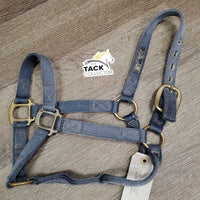 Nylon Halter *gc/fair, clean, faded, stiff, tears, oxidization
