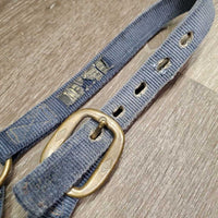 Nylon Halter *gc/fair, clean, faded, stiff, tears, oxidization
