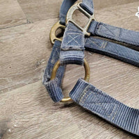 Nylon Halter *gc/fair, clean, faded, stiff, tears, oxidization
