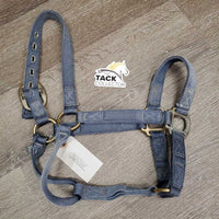 Nylon Halter *gc/fair, clean, faded, stiff, tears, oxidization
