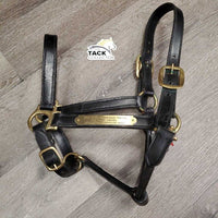 Hvy Double Stitch Leather Halter, "2008 Parkland Dressage Festival" nameplate *xc, older, oxidization, stiff
