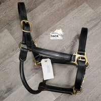 Hvy Double Stitch Leather Halter, "2008 Parkland Dressage Festival" nameplate *xc, older, oxidization, stiff
