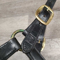 Hvy Double Stitch Leather Halter, "2008 Parkland Dressage Festival" nameplate *xc, older, oxidization, stiff

