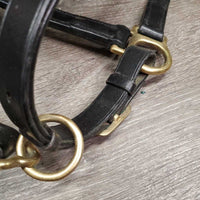 Hvy Double Stitch Leather Halter, "2008 Parkland Dressage Festival" nameplate *xc, older, oxidization, stiff

