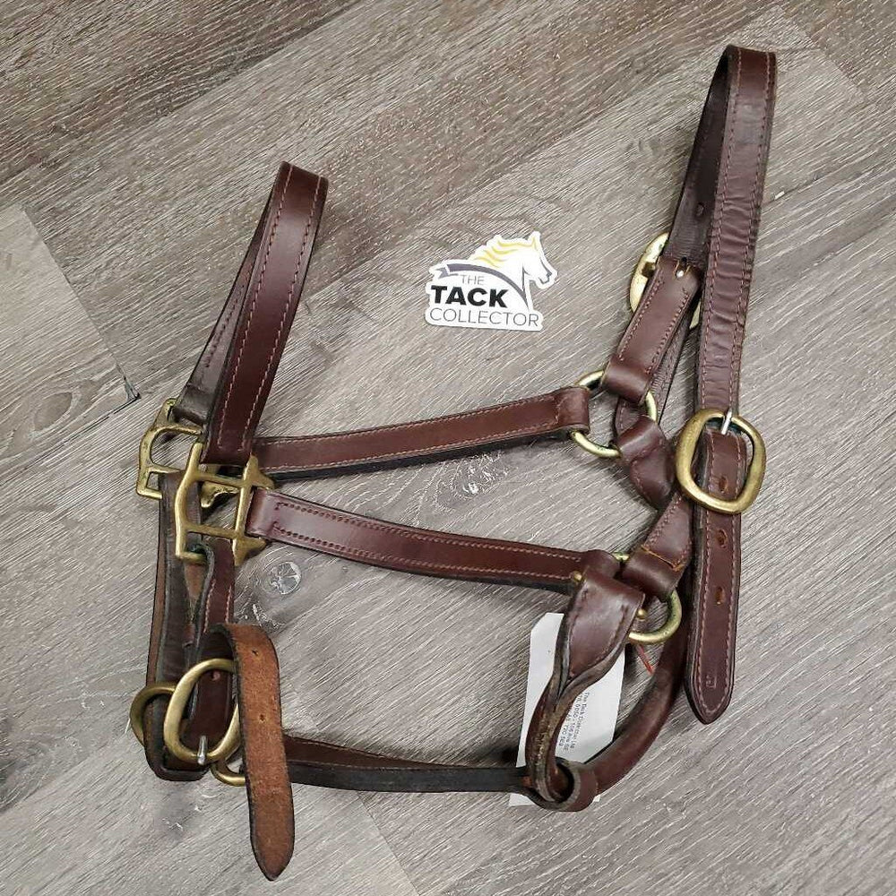 Triple Stitch Leather Halter, adj, snap *vgc, older?, dry, mnr dirt, scrapes, cracking edges, oxidization