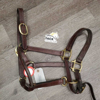 Triple Stitch Leather Halter, adj, snap *vgc, older?, dry, mnr dirt, scrapes, cracking edges, oxidization
