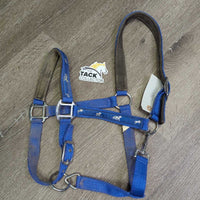 Nylon Padded Neoprene Halter, adj, snap *gc, dirty, edge rubs, bent nose, stains, hair
