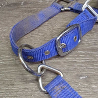Nylon Padded Neoprene Halter, adj, snap *gc, dirty, edge rubs, bent nose, stains, hair

