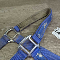 Nylon Padded Neoprene Halter, adj, snap *gc, dirty, edge rubs, bent nose, stains, hair
