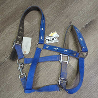 Nylon Padded Neoprene Halter, adj, snap *gc, dirty, edge rubs, bent nose, stains, hair
