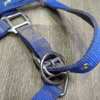 Nylon Padded Neoprene Halter, adj, snap *gc, dirty, edge rubs, bent nose, stains, hair
