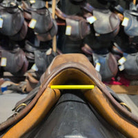 NOT FOR RIDING REPURPOSING ONLY TWISTED Collegiate CC
