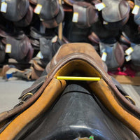 NOT FOR RIDING REPURPOSING ONLY TWISTED Collegiate CC
