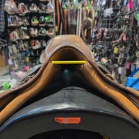 NOT FOR RIDING REPURPOSING ONLY TWISTED Collegiate CC
