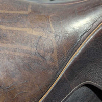 NOT FOR RIDING REPURPOSING ONLY TWISTED Collegiate CC
