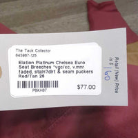 Euro Seat Breeches *vgc/xc, v.mnr faded, stain?dirt & seam puckers
