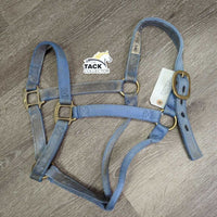 Thick Nylon Halter gc, v.faded, dirty, stains, edge rubs & frays
