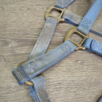 Thick Nylon Halter gc, v.faded, dirty, stains, edge rubs & frays
