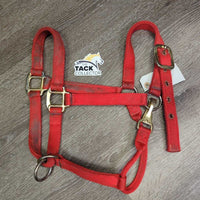 Thick Nylon Halter, Slip Nose, Spring Snap *gc, dirty, mnr rubs
