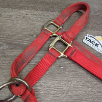 Thick Nylon Halter, Slip Nose, Spring Snap *gc, dirty, mnr rubs
